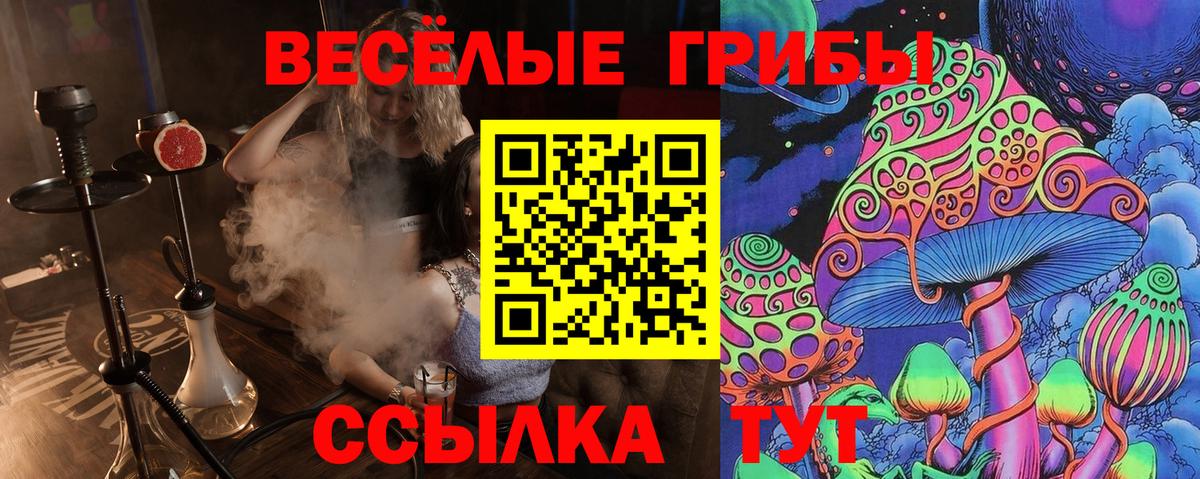 Галлюциногенные грибы GOLDEN TEACHER Острогожск
