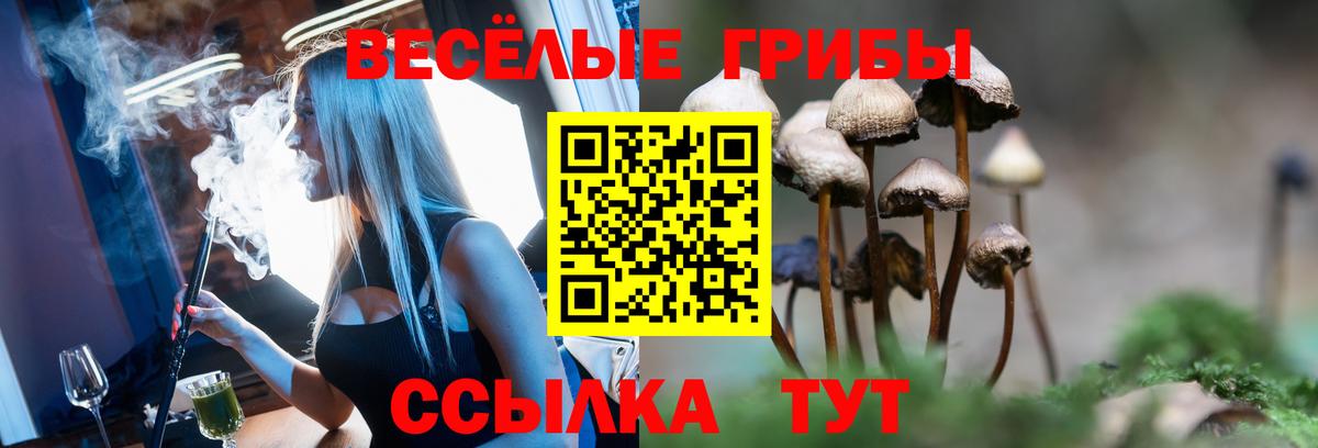 Галлюциногенные грибы MAGIC MUSHROOMS  Вход с VPN  наркотики  Острогожск  Галлюциногенные грибы прущие грибы 